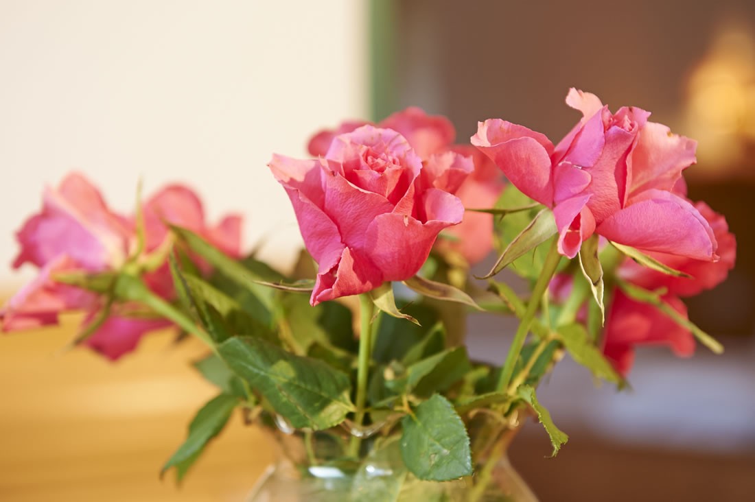 Liebevolle Dekorationen im gesamten Aparthotel Paradies in Flachau