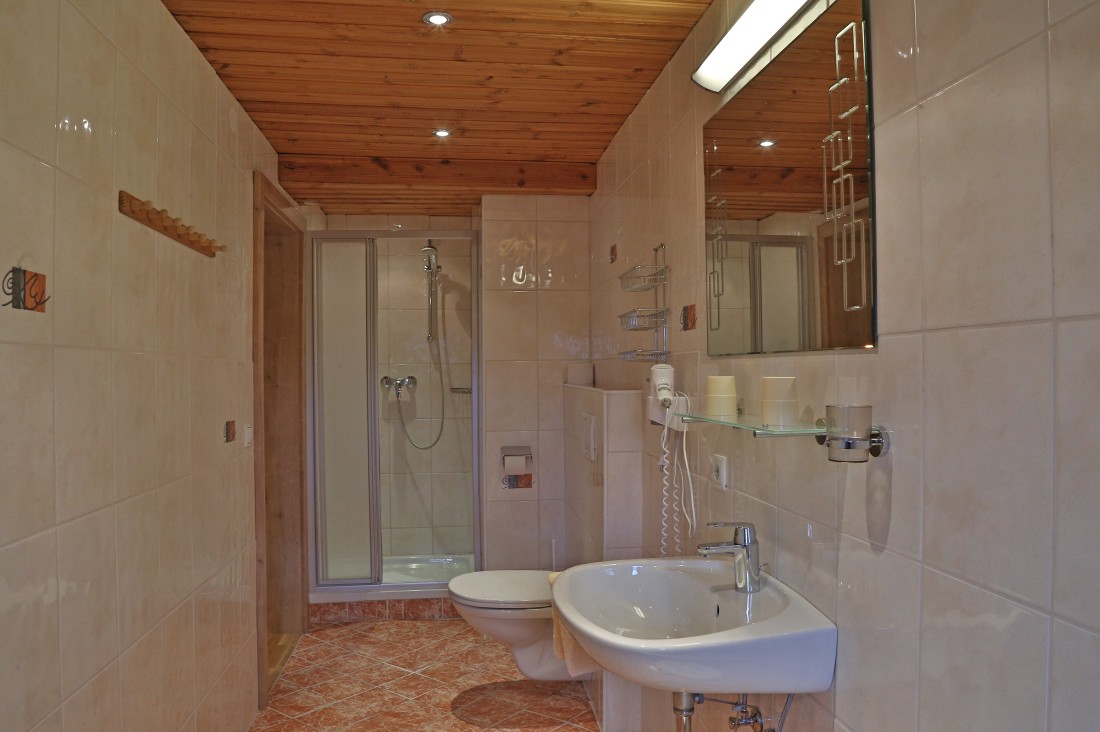 Badezimmer mit großer Dusche